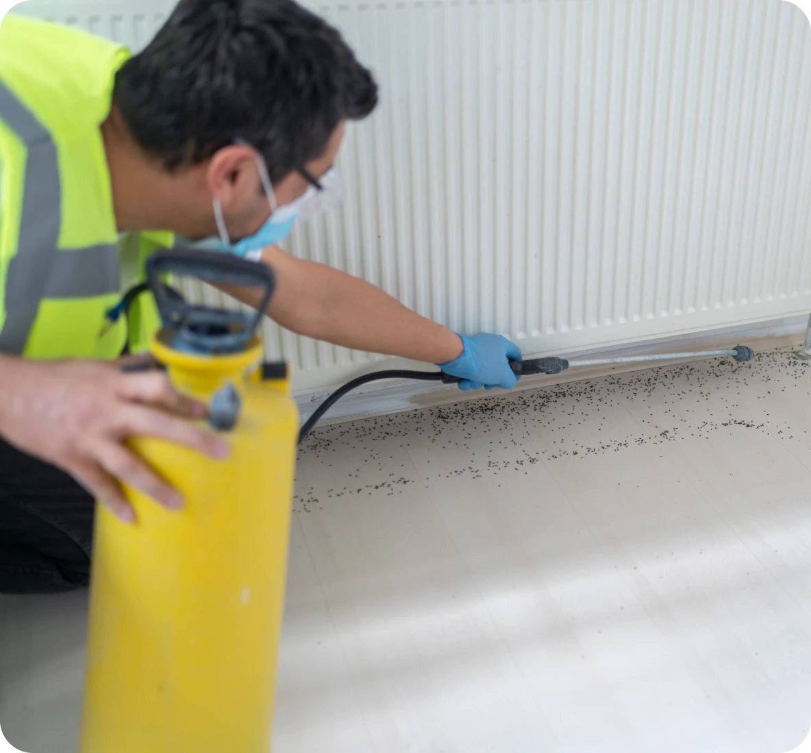 Pest control professional treating baseboard
